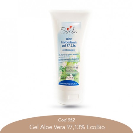 Gel Aloe Vera 97,13% EcoBio