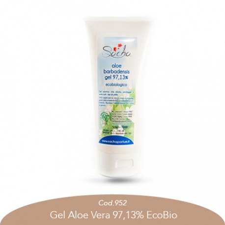 Gel Aloe Vera 97,13% EcoBio